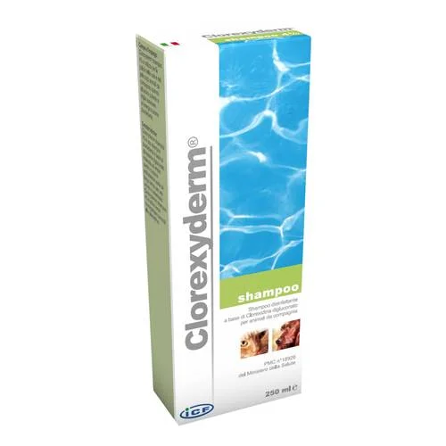 bigfarmacia202607021050171175067