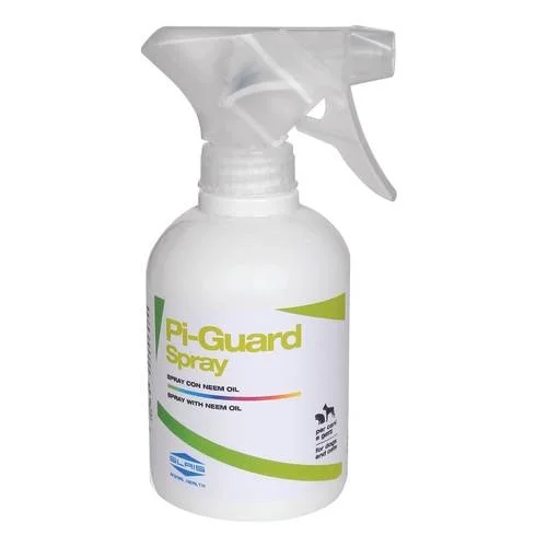 bigfarmacia202607021100361181200