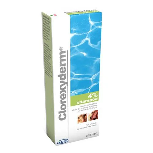 bigfarmacia202607021112551188500