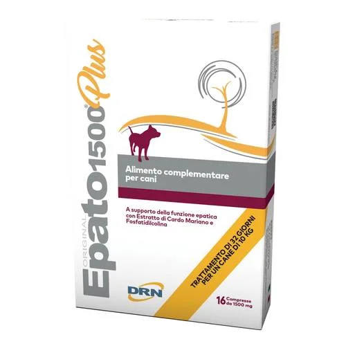bigfarmacia202607021117191190949