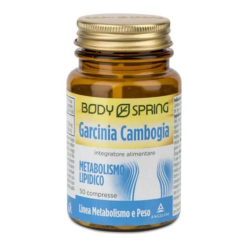 bigfarmacia202607021119211192246