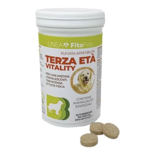 bigfarmacia202607021124051195705
