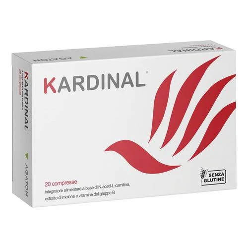 bigfarmacia202607021133481203365