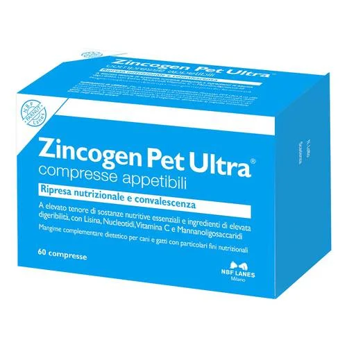 bigfarmacia202607021137521206221