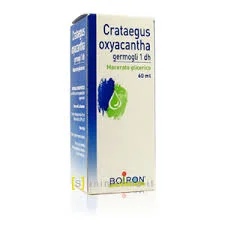 farmaciabozzi202607021059171180412