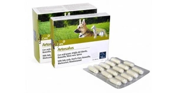 pharmasantelena202607021200121220091