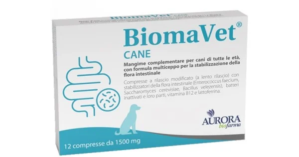 pharmasantelena202607021254261250281