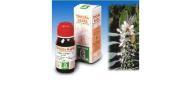 pharmasantelena202607021330151267591