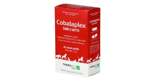 pharmasantelena202607021428561291784
