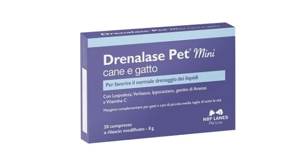 pharmasantelena202607021558131316670