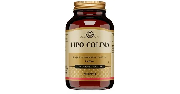 pharmasantelena202607022046421372564
