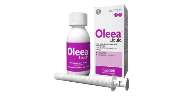 pharmasantelena202607022308541393216