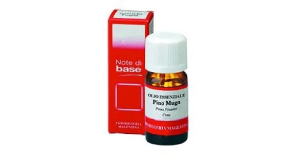 pharmasantelena202607030015431401757
