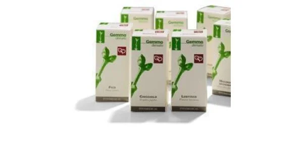 pharmasantelena202607030016281401856