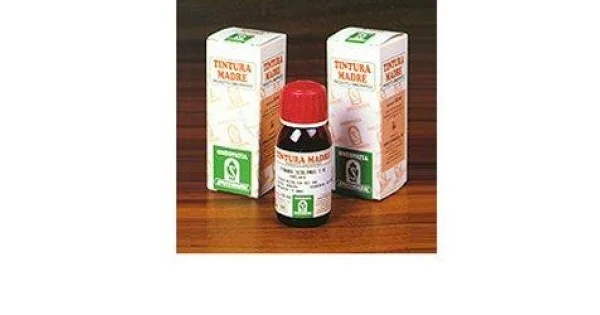 pharmasantelena202607030319551430204