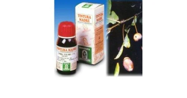 pharmasantelena202607030319591430217