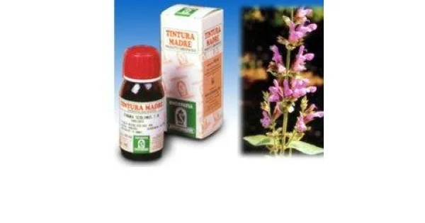pharmasantelena202607030320211430264