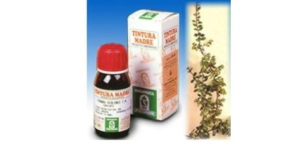 pharmasantelena202607030320231430269