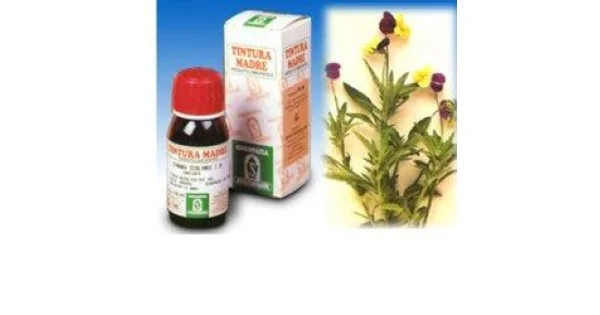 pharmasantelena202607030320241430275